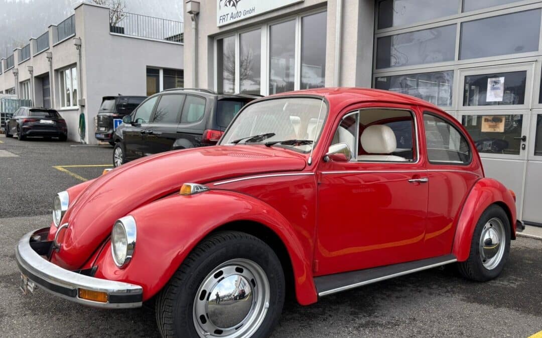 Sorgt für frühlingshaftes Kribbeln im Bauch – unsere VW Käfer Occasion